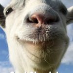 Download Goat Simulator torrent download for PC Download Goat Simulator torrent download for PC