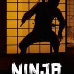 Download Ninja Simulator torrent download for PC Download Ninja Simulator torrent download for PC