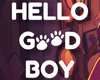 Download Hello goodboy torrent download for PC Download Hello goodboy torrent download for PC