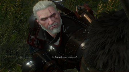 The Witcher 3 with all DLC add-ons download torret