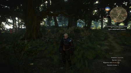 The Witcher 3 with all DLC add-ons download torret