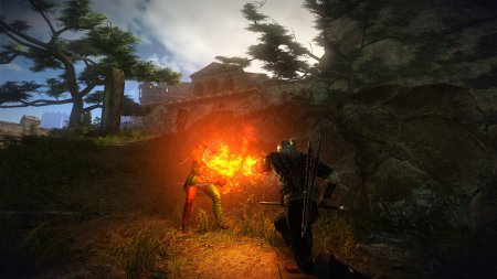 The Witcher 2: Assassins of Kings download torrent