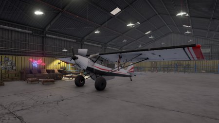 Deadstick Bush Flight Simulator download torrent