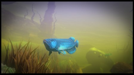 Feed and Grow: Fish download torrent