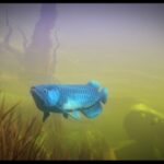 Feed and Grow Fish download torrent For PC Feed and Grow: Fish download torrent For PC