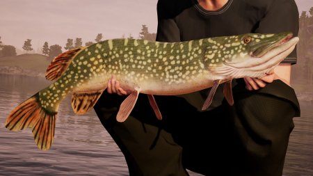 Fishing Sim World download torrent For PC Fishing Sim World download torrent For PC