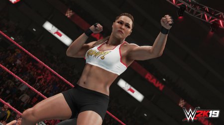 WWE 2K19 download torrent For PC WWE 2K19 download torrent For PC
