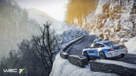 WRC 7 FIA World Rally Championship 2017 download torrent