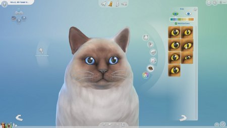 Sims 4 Pets download torrent