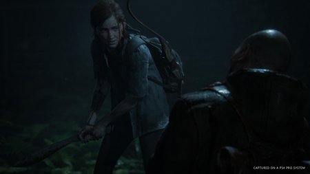 The Last of Us: Part 2 Mechanics download torrent