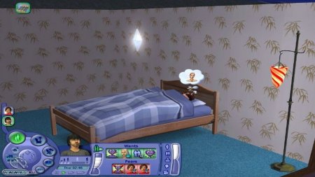 Sims 2 with additions download torrent