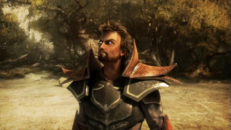 Divinity 2: The Dragon Knight Saga download torrent