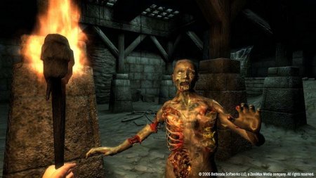 The Elder Scrolls 4: Oblivion download torrent