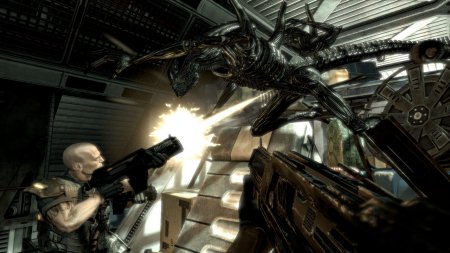 Alien vs Predator game download torrent