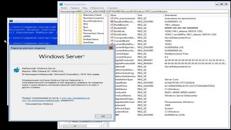 Windows Server 2019 download torrent