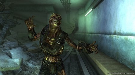 Fallout 3 Gold Edition download torrent