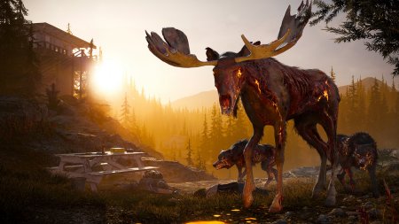 Far Cry 5 torrent download For PC Far Cry 5 torrent download For PC