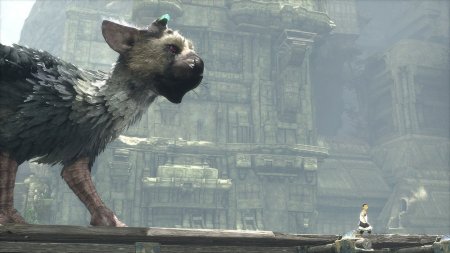 The Last Guardian download torrent For PC The Last Guardian download torrent For PC