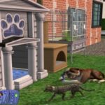 The Sims 2 Pets download torrent For PC The Sims 2 Pets download torrent For PC