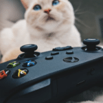 image 2 Stray Has Pounced On Xbox Consoles